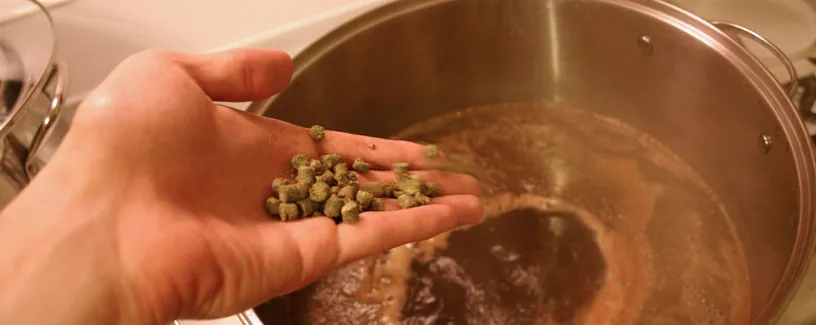 Motivos para fazer cerveja em casa