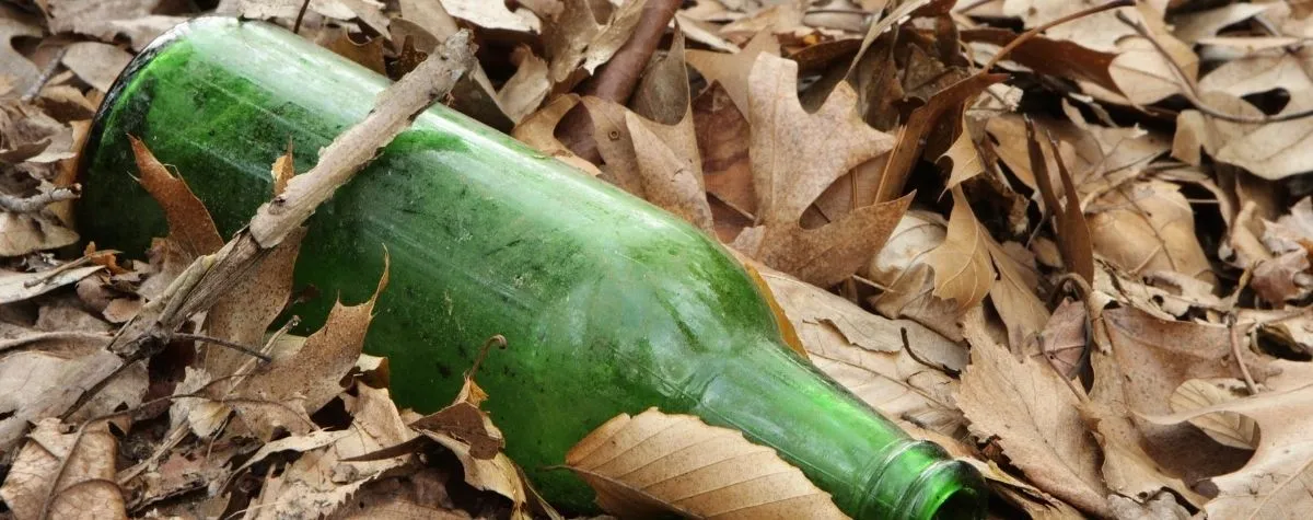 garrafa de cerveja