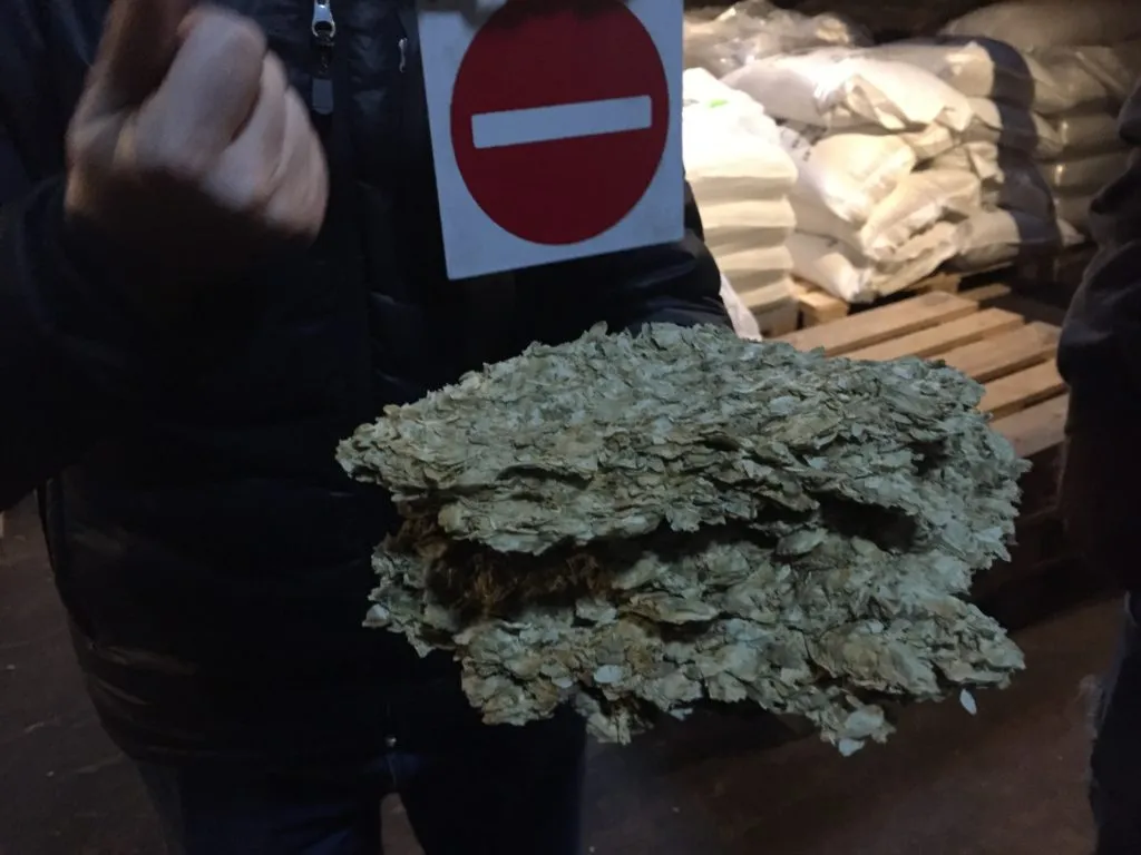 Mão segurando cones secos de lúpulo prensados, com sacos de insumos empilhados ao fundo
