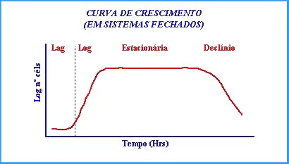 Gráfico da curva de crescimento de micro-organismos com as fases lag, log, estacionária e declínio