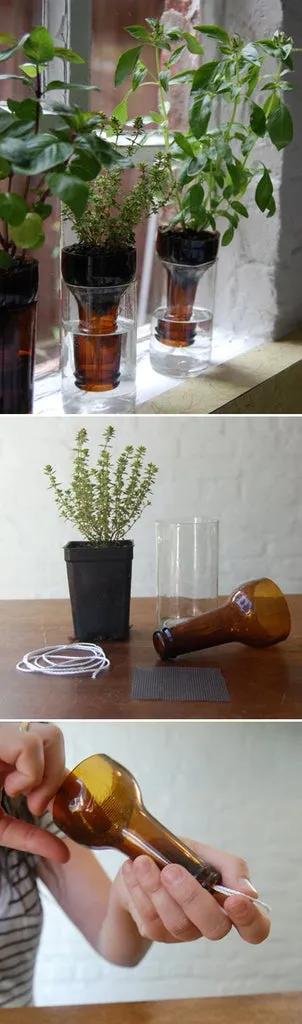 Garrafa de cerveja marrom cortada e invertida como vaso autoirrigável para ervas, com o passo a passo do corte