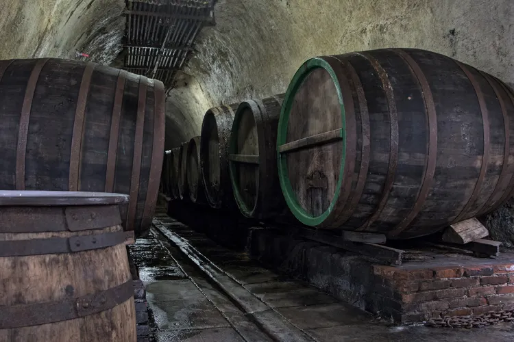 Barris de madeira antigos enfileirados em adega de pedra, usados no armazenamento da cerveja Pilsen