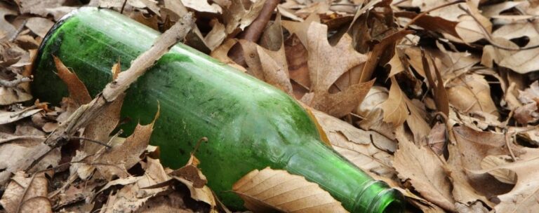 Read more about the article 15 Ideias Criativas para reutilizar uma garrafa de cerveja